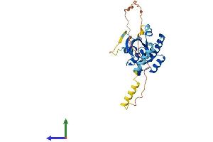 Protein Structure (PS) image for GTP Binding Protein Overexpressed in Skeletal Muscle (GEM) (AA 1-295) protein (His tag) (ABIN7556459)