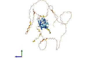 Protein Structure (PS) image for Runt-Related Transcription Factor 1 (RUNX1) (AA 1-453) protein (His tag) (ABIN7555307)