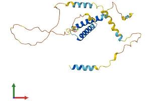Protein Structure (PS) image for Cell Division Cycle Associated 4 (CDCA4) (AA 1-237) protein (His tag) (ABIN7560671)