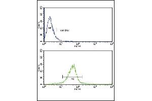 GSTM1 Antibody (C-term) (ABIN390883 and ABIN2841095) flow cytometric analysis of MDA-M cells (bottom histogram) compared to a negative control cell (top histogram). (GSTM1 抗体  (C-Term))