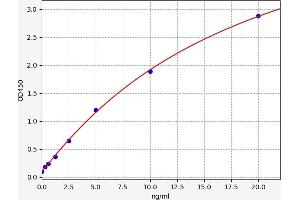Typical standard curve (ABCC1 ELISA 试剂盒)