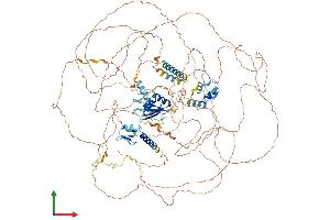 AlphaFold protein structure predicition of Mouse Recombinant Rbm20 Protein, UniprotID Q3UQS8