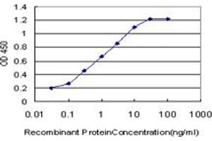 Detection limit for recombinant GST tagged NBR1 is approximately 0. (NBR1 抗体  (AA 2-96))
