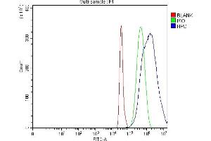 Flow Cytometry analysis of HepG2 cells using anti-HPD antibody (ABIN7599818).