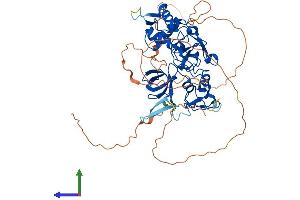 AlphaFold protein structure predicition of Mouse Recombinant Phf1 Protein, UniprotID Q9Z1B8