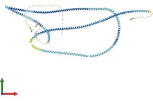 Protein Structure (PS) image for Outer Dense Fiber of Sperm Tails 2 (ODF2) (AA 1-830) protein (His tag) (ABIN7561992)