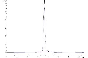 Size-exclusion chromatography-High Pressure Liquid Chromatography (SEC-HPLC) image for Very Low Density Lipoprotein Receptor (VLDLR) (AA 28-797) protein (His tag) (ABIN7275822)