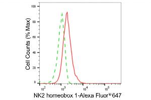 Flow cytometric analysis of NK2 homeobox 1 expression in HAP-1 cells using NK2 homeobox 1 antibody (ABIN7799606), 1:2,000). (Recombinant NKX2-1 抗体)