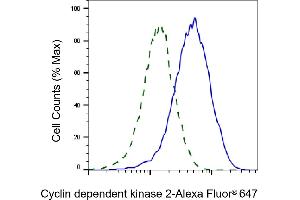 Validation of Cyclin dependent kinase 2 knockdown using flow cytometry. (Recombinant CDK2 抗体)