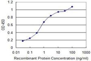 Detection limit for recombinant GST tagged SLC13A5 is 0. (SLC13A5 抗体  (AA 152-206))