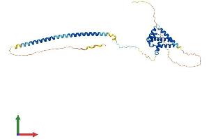 Protein Structure (PS) image for Cell Division Cycle 37-Like 1 (CDC37L1) (AA 1-335) protein (His tag) (ABIN7560797)