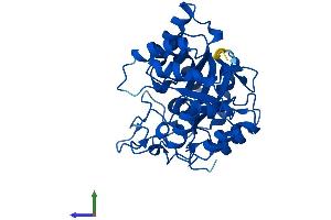 Protein Structure (PS) image for Aldo-keto Reductase Family 1 Member C4 (AKR1C4) (AA 1-323) protein (His tag) (ABIN7552079)