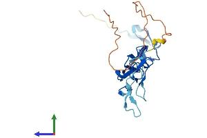 AlphaFold protein structure predicition of Human Recombinant EGFEM1P Protein, UniprotID Q0D2K5