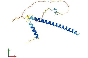 AlphaFold protein structure predicition of Mouse Recombinant Ddit3 Protein, UniprotID P35639