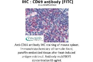 Image no. 1 for anti-CD69 (CD69) antibody (FITC) (ABIN1723067) (CD69 抗体  (FITC))