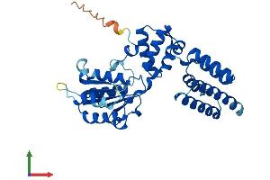 AlphaFold protein structure predicition of Human Recombinant RFC5 Protein, UniprotID P40937