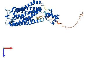 Protein Structure (PS) image for Ceramide Synthase 6 (CERS6) (AA 1-384) protein (His tag) (ABIN7553174)