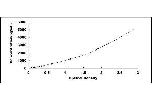 Typical standard curve (SCGB1A1 ELISA 试剂盒)