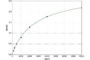 Claudin 7 (CLDN7) ELISA Kit