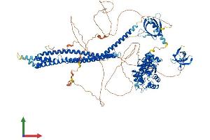 Protein Structure (PS) image for ArfGAP with SH3 Domain, Ankyrin Repeat and PH Domain 1 (ASAP1) (AA 1-1129) protein (His tag) (ABIN7552470)
