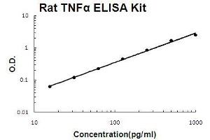 Rat TNF alpha PicoKine ELISA Kit standard curve (TNF alpha ELISA 试剂盒)
