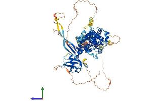 AlphaFold protein structure predicition of Human Recombinant RGL1 Protein, UniprotID Q9NZL6