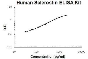 Human Sclerostin/SOST PicoKine ELISA Kit standard curve (Sclerostin ELISA 试剂盒)