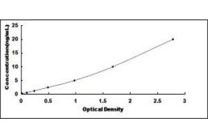 Typical standard curve (RCBTB2 ELISA 试剂盒)