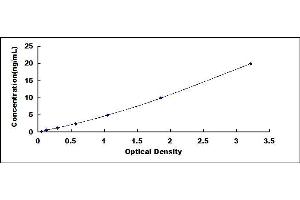 Typical standard curve (RPA1 ELISA 试剂盒)