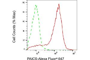 Flow cytometric analysis of PAICS expression in HAP-1 cells using PAICS antibody (ABIN7799833), 1:2,000). (PAICS 抗体)