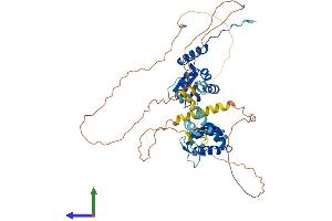 Protein Structure (PS) image for Nucleus Accumbens Associated 1, BEN and BTB (POZ) Domain Containing (NACC1) (AA 1-514) protein (His tag) (ABIN7558302)