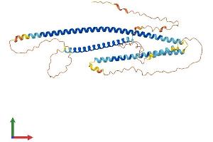 AlphaFold protein structure predicition of Human Recombinant CCDC78 Protein, UniprotID A2IDD5