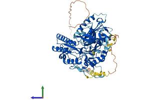 Protein Structure (PS) image for CDK5 Regulatory Subunit Associated Protein 1 (CDK5RAP1) (AA 1-601) protein (His tag) (ABIN7553382)