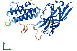 Protein Structure (PS) image for Axin Interactor, Dorsalization Associated (AIDA) (AA 1-305) protein (His tag) (ABIN7559138)
