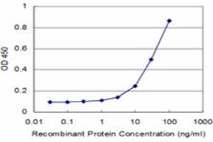 Detection limit for recombinant GST tagged MVK is approximately 3ng/ml as a capture antibody. (MVK 抗体  (AA 297-396))