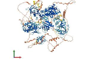 Protein Structure (PS) image for ArfGAP with RhoGAP Domain, Ankyrin Repeat and PH Domain 3 (ARAP3) (AA 1-1538) protein (His tag) (ABIN7564718)