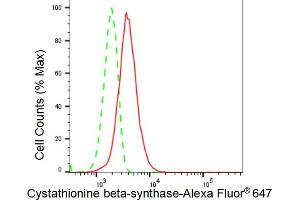 Flow cytometric analysis of Cystathionine beta-synthase expression in HeLa cells using Cystathionine beta-synthase antibody (ABIN7798235), 1:2,000).