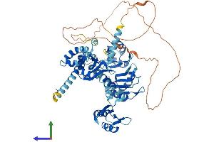 AlphaFold protein structure predicition of Human Recombinant PABPC3 Protein, UniprotID Q9H361