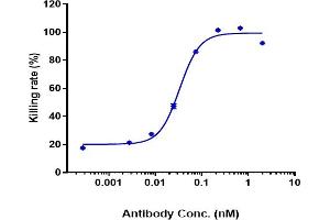 anti-Triggering Receptor Expressed On Myeloid Cells 1 (TREM1) antibody