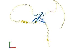 AlphaFold protein structure predicition of Human Recombinant YAF2 Protein, UniprotID Q8IY57