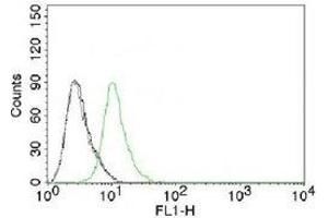 FACS testing of Jurkat cells and Alexa Fluor 488-labeled p27Kip1 antibody. (CDKN1B 抗体)
