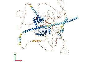 Protein Structure (PS) image for Protein Phosphatase 1, Regulatory Subunit 12B (PPP1R12B) (AA 1-976) protein (His tag) (ABIN7564334)