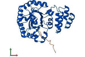 Protein Structure (PS) image for Dihydrouridine Synthase 4-Like (DUS4L) (AA 1-317) protein (His tag) (ABIN7547198)