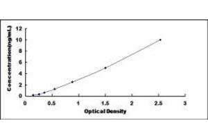 Typical standard curve (GALT ELISA 试剂盒)