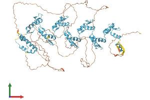 Protein Structure (PS) image for Zinc Finger Protein 28 (ZFP28) (AA 1-868) protein (His tag) (ABIN7545438)