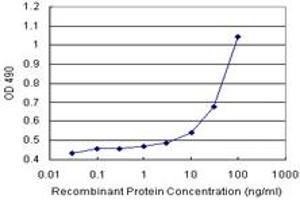 Sandwich ELISA detection sensitivity ranging from 10 ng/mL to 100 ng/mL. (COMT (人) Matched Antibody Pair)