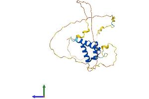 AlphaFold protein structure predicition of Human Recombinant HOXB9 Protein, UniprotID P17482