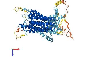 Solute Carrier Family 15 Member 3 (SLC15A3) (AA 1-581) protein (His tag)