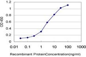 Detection limit for recombinant GST tagged ARMCX3 is approximately 0. (ARMCX3 抗体  (AA 278-379))