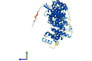AlphaFold protein structure predicition of Human Recombinant NELFCD Protein, UniprotID Q8IXH7